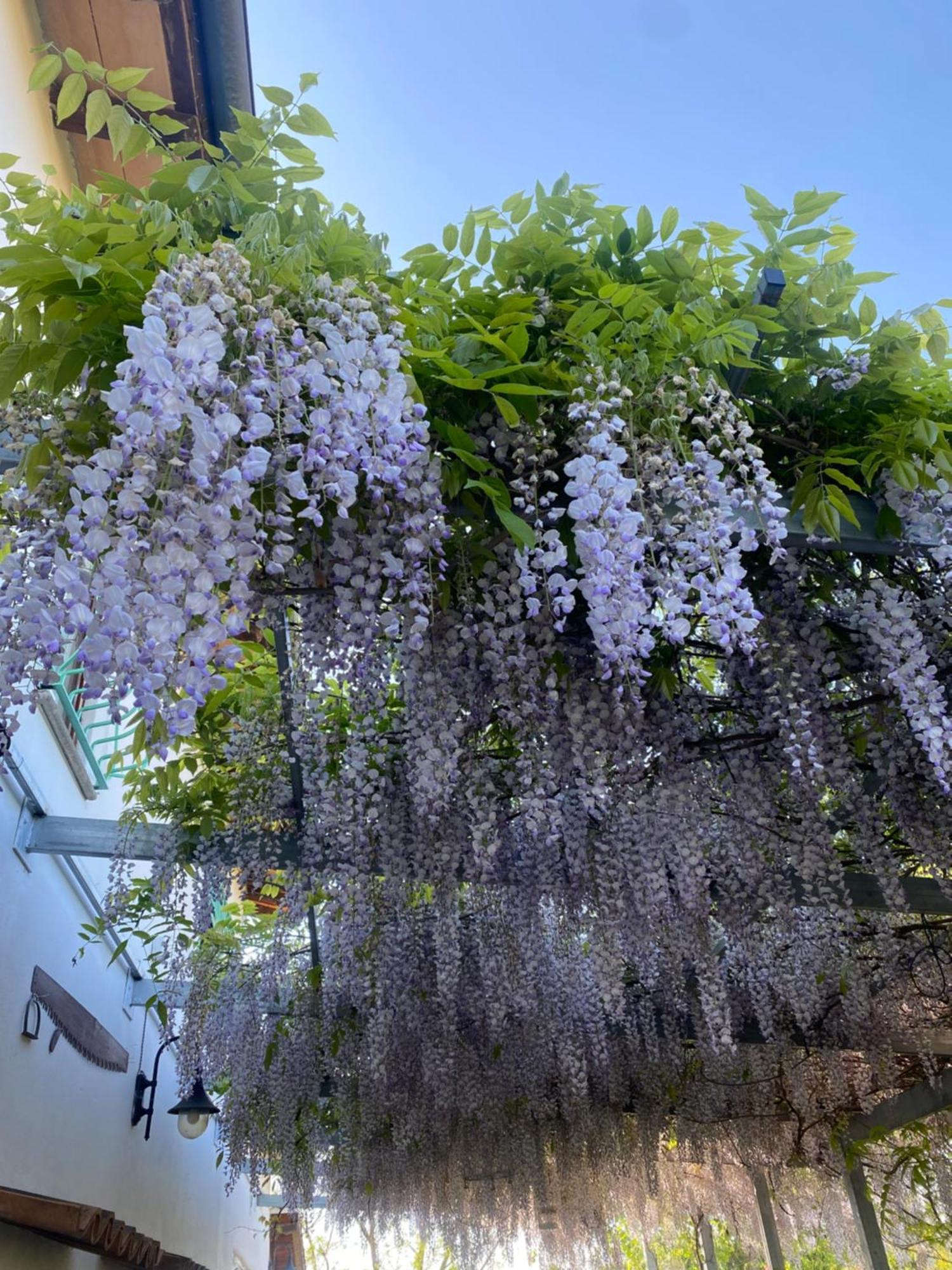 La Locanda Del Tevere Фиано Романо Екстериор снимка